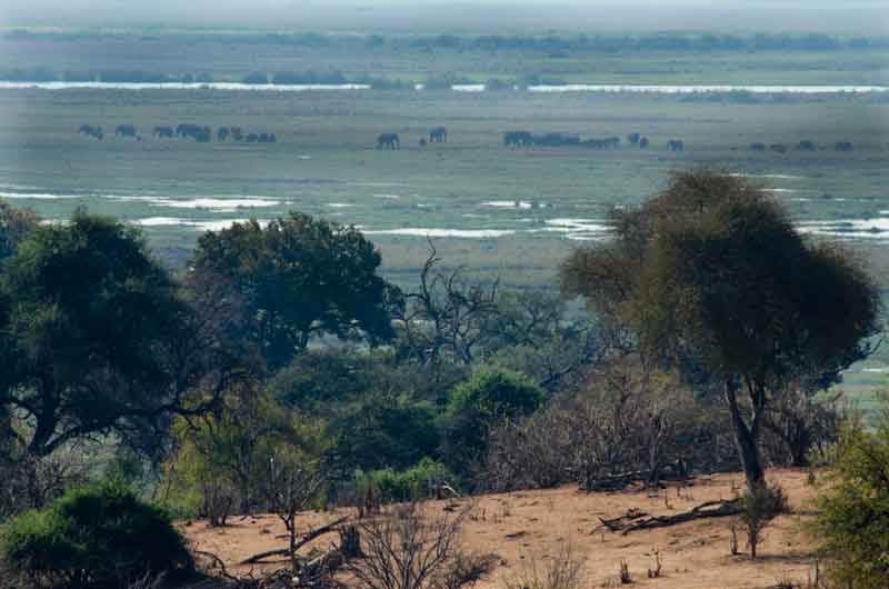 08 - Botswana - parque nacional de Chobe - paisaje
